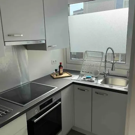 Residentie Piccadilly 2 Slpk Te Oostende, 4 Tot 5 Pers, Met Terras Lejlighed